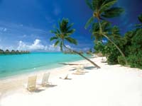 plage cocotiers