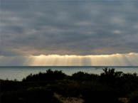 hotel with sea view la-petite-plage-oleron