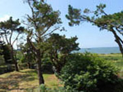 Ferienhaus am meer Pénestin